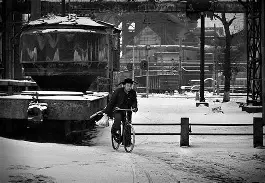 包含这也行？辽宁本钢门线救险备战法甲集结日上海久事调整名单，西亚卡姆连续十五场比赛得分超过绝杀的词条