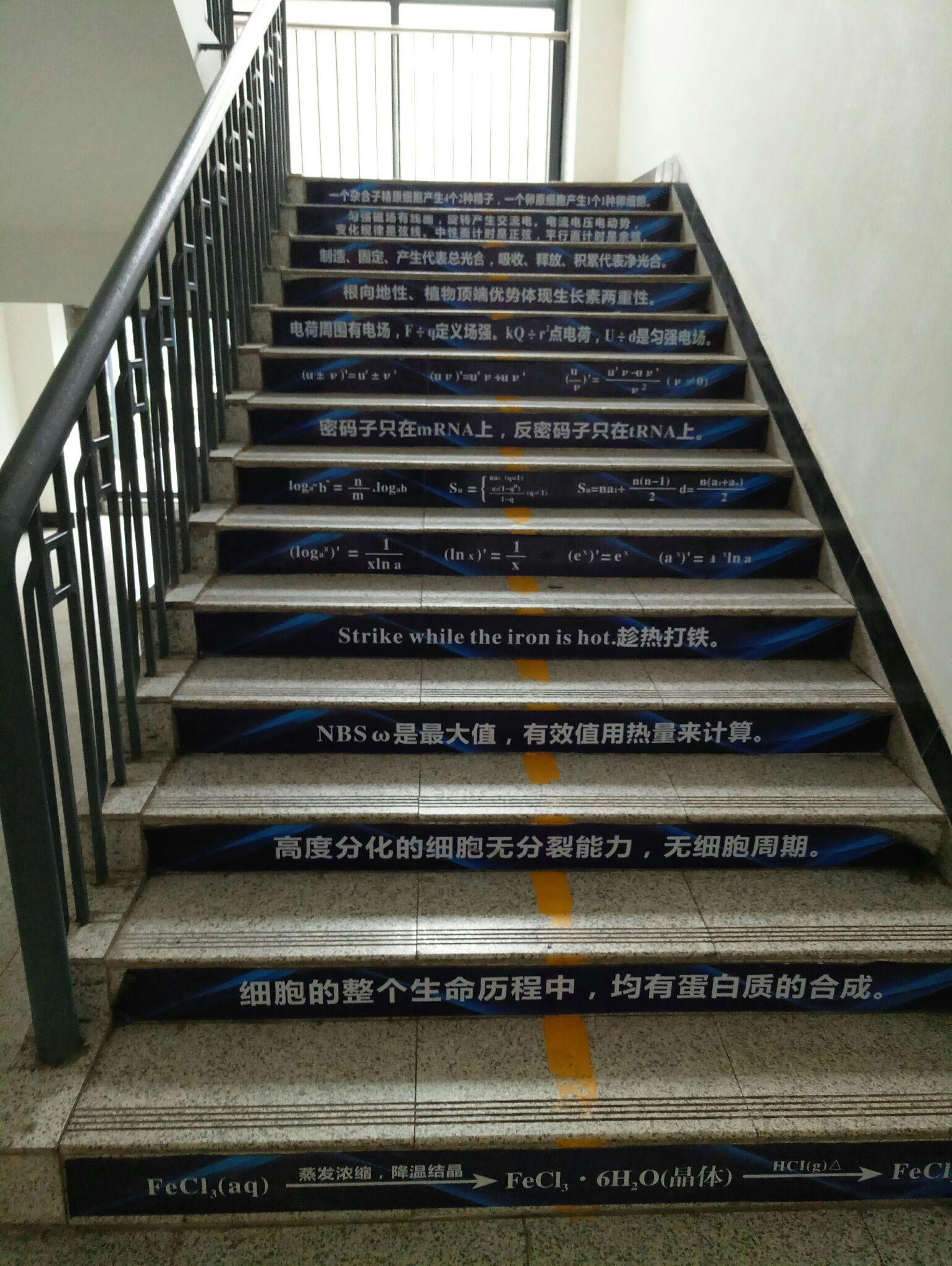 字母哥生涯4次天王山之战均输球