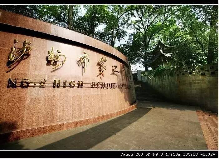 字母哥生涯4次天王山之战均输球
